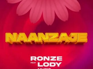Ronze ft. Lody Music - Naanzaje