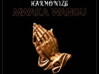Harmonize - Mwaka Wangu