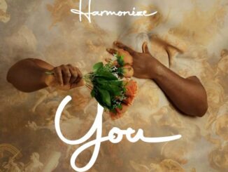 Harmonize - You