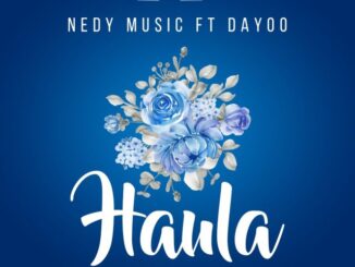 Nedy Music ft Dayoo - Haula