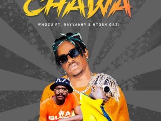 Whozu X Rayvanny ft. Ntosh Ngazi - Chawa