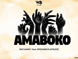 AMABOKO by Rayvanny ft Diamond Platnumz