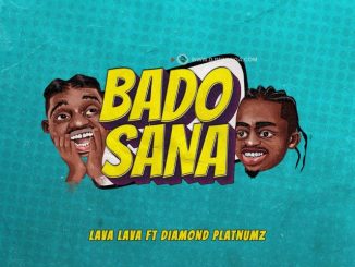 Bado Sana by Lava Lava ft. Diamond Platnumz