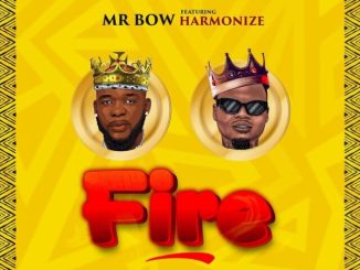Fire by Mr Bow ft. Harmonize