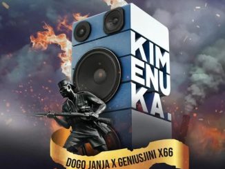 Kimenuka by Dogo Janja & Genius Jini X66