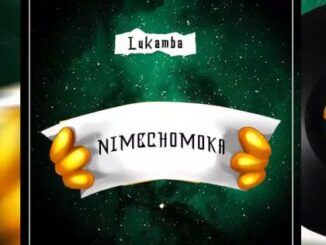 Lukamba - Nimechomoka