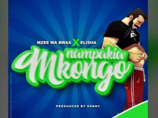 Nampakia Mkongo by Mzee Wa Bwax ft. Elisha