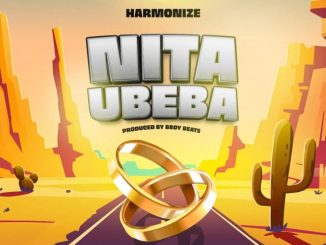 Nitaubeba by Harmonize