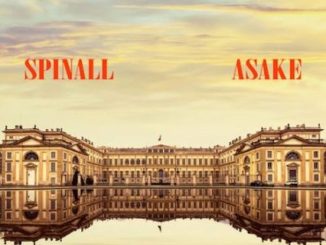 Palazzo by DJ Spinall ft. Asake