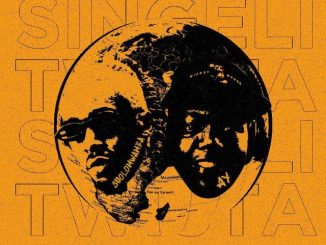 Singeli Twista by Sholo Mwamba ft AY