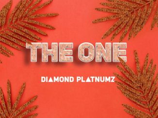The One by Diamond Platnumz