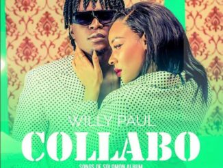 Willy Paul - Collabo