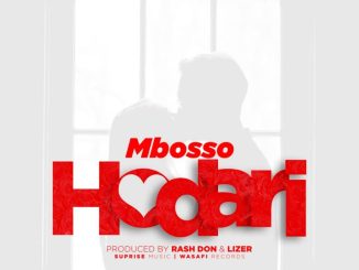 Hodari by Mbosso