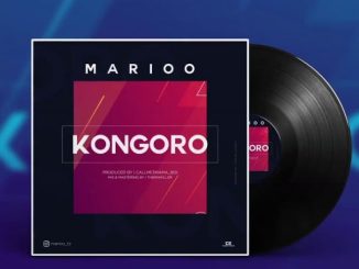 Kongoro by Marioo