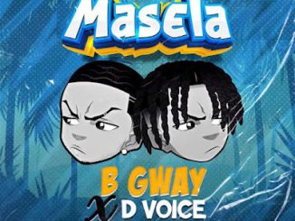 Masela by B Gway ft. D Voice