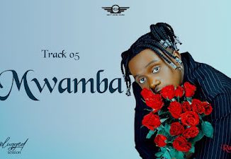 Mwamba song by Rayvanny