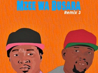 Mzee Wa Busara Remix by Juma Nature ft. Inspector Haroun