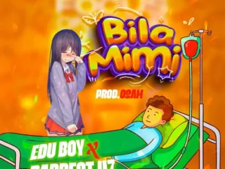 Bila Mimi song by Edu Boy Ft. Baddest 47