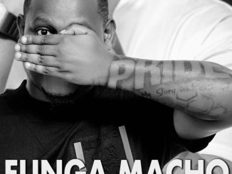 Funga Macho song by Bruce Melodie
