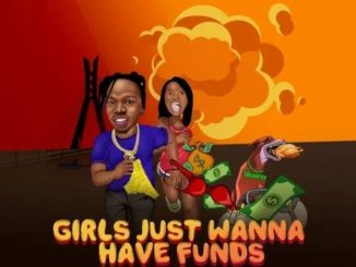 Girls Just Wanna Have Funds song by Naira Marley