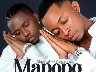 Mapopo song by Mavokali Ft. Rayvanny