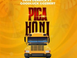 Piga Honi song by Deus Derrick Ft. Goodluck Gozbert