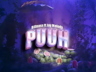 Puuh song by Billnass Ft. Jay Melody