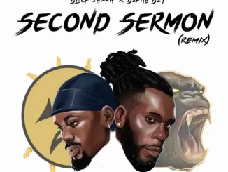 Second Sermon (Remix) song by Black Sherif Ft. Burna Boy