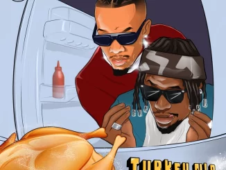Turkey Nla (Remix) song by King Perryy Ft. Tekno