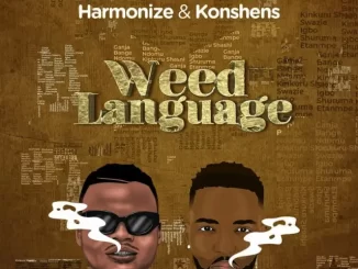 Weed Language song by Harmonize Ft. Konshens