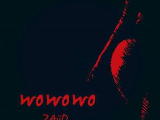 Wowowo song by Zaiid