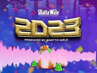 2023 song by Shatta Wale