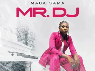 Mr. DJ by Maua Sama