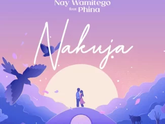 Nakuja song by Nay Wa Mitego Ft. Phina