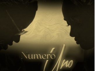 Numero Uno by Tommy Flavour Ft. Tanasha Donna