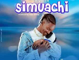 Simuachi by D Voice