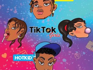 Tiktok Girls song by Maxnr Ft. HotKid
