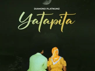 Yatapita song by Diamond Platnumz