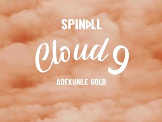 Cloud 9 by Spinall Ft. Adekunle Gold