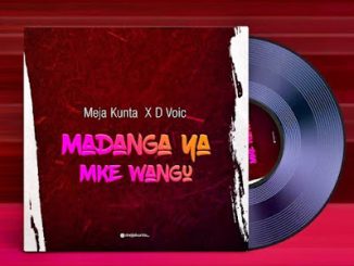 Madanga Ya Mke Wangu by Meja Kunta FT. D Voice