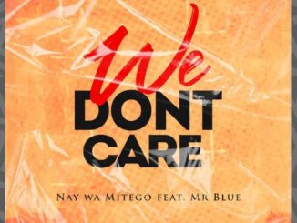 We Don't Care by Nay Wa Mitego Ft. Mr Blue
