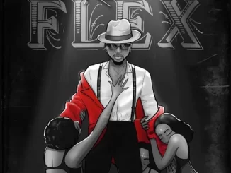 Flex by Kizz Daniel