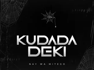 Kudada Deki by Nay Wa Mitego