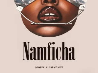 Namficha by DJ Joozey X Harmonize