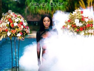Never Ever by Vanessa Mdee