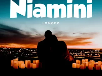 Niamini by Lomodo