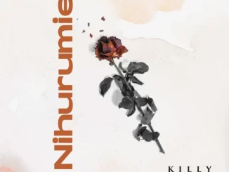 Nihurumie by Killy