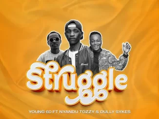 Struggle by Young 60 Ft. Nyadu Tozzy & Dullykes