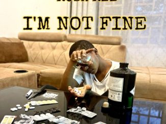 I'm Not Fine by Rosa Ree