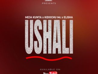Ushali by Meja Kunta Ft Kidochu MC & Elisha